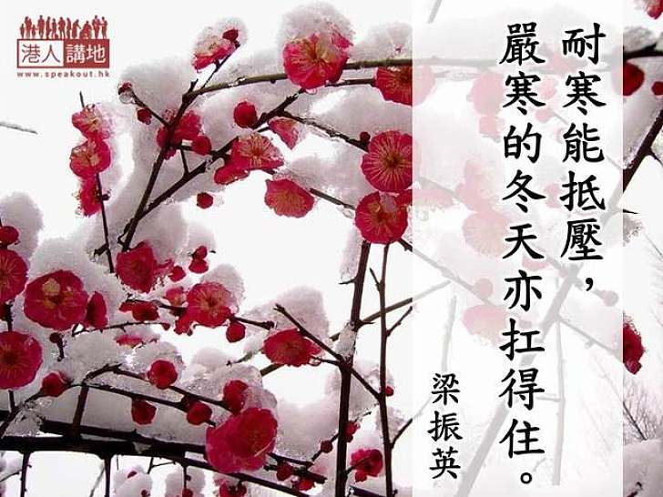 【製圖】以梅花自況　梁振英：耐寒能抵壓　嚴寒的冬天亦扛得住